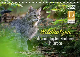 Kalender Wildkatzen - die anmutigsten Raubiere in Europa. (Tischkalender 2022 DIN A5 quer) von Ingo Gerlach