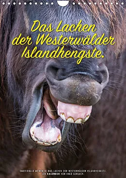 Kalender Das Lachen der Westerwälder Islandhengste. (Wandkalender 2022 DIN A4 hoch) von Ingo Gerlach