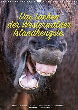 Kalender Das Lachen der Westerwälder Islandhengste. (Wandkalender 2022 DIN A3 hoch) von Ingo Gerlach
