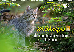 Kalender Wildkatzen - die anmutigsten Raubiere in Europa. (Wandkalender 2022 DIN A2 quer) von Ingo Gerlach