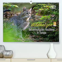 Kalender Wildkatzen - die anmutigsten Raubiere in Europa. (Premium, hochwertiger DIN A2 Wandkalender 2022, Kunstdruck in Hochglanz) von Ingo Gerlach