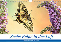 Kalender Sechs Beine in der Luft - Schmetterlinge im Flug (Wandkalender 2022 DIN A4 quer) von André Skonieczny