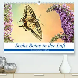 Kalender Sechs Beine in der Luft - Schmetterlinge im Flug (Premium, hochwertiger DIN A2 Wandkalender 2022, Kunstdruck in Hochglanz) von André Skonieczny