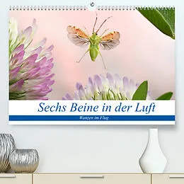Kalender Sechs Beine in der Luft - Wanzen im Flug (Premium, hochwertiger DIN A2 Wandkalender 2022, Kunstdruck in Hochglanz) von André Skonieczny