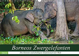 Kalender Borneos Zwergelefanten (Wandkalender 2022 DIN A3 quer) von Arne Wünsche