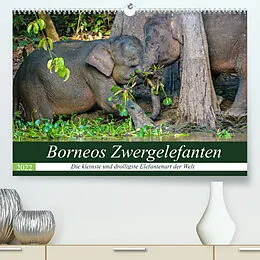 Kalender Borneos Zwergelefanten (Premium, hochwertiger DIN A2 Wandkalender 2022, Kunstdruck in Hochglanz) von Arne Wünsche