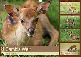 Kalender Bambis Welt (Wandkalender 2022 DIN A3 quer) von Heike Hultsch