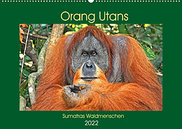 Kalender Orang Utans Sumatras Waldmenschen (Wandkalender 2022 DIN A2 quer) von Anja Edel