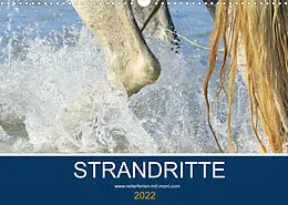 Kalender STRANDRITTE (Wandkalender 2022 DIN A3 quer) von Petra Eckerl Tierfotografie www.petraeckerl.com