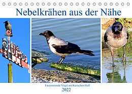 Kalender Nebelkrähen aus der Nähe - Faszinierende Vögel am Kurischen Haff (Tischkalender 2022 DIN A5 quer) von Henning von Löwis of Menar