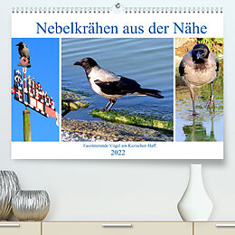 Kalender Nebelkrähen aus der Nähe - Faszinierende Vögel am Kurischen Haff (Premium, hochwertiger DIN A2 Wandkalender 2022, Kunstdruck in Hochglanz) von Henning von Löwis of Menar