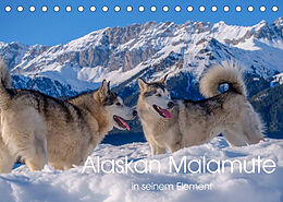 Kalender Alaskan Malamute in seinem Element (Tischkalender 2022 DIN A5 quer) von Wuffclick-pic