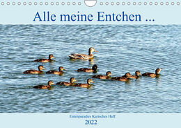 Kalender Alle meine Entchen ... Entenparadies Kurisches Haff (Wandkalender 2022 DIN A4 quer) von Henning von Löwis of Menar