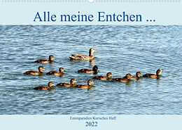 Kalender Alle meine Entchen ... Entenparadies Kurisches Haff (Wandkalender 2022 DIN A2 quer) von Henning von Löwis of Menar