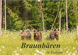 Kalender Braunbären in Europa (Wandkalender 2022 DIN A2 quer) von Christian Dorn