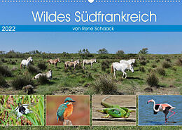Kalender Wildes Südfrankreich (Wandkalender 2022 DIN A2 quer) von René Schaack
