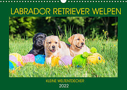 Kalender Labrador Retriever Welpen - Kleine Weltentdecker (Wandkalender 2022 DIN A3 quer) von Sigrid Starick