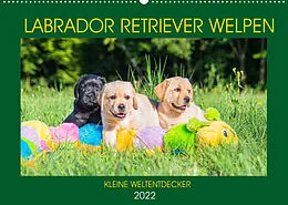 Kalender Labrador Retriever Welpen - Kleine Weltentdecker (Wandkalender 2022 DIN A2 quer) von Sigrid Starick