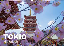 Kalender Tokio Kalender mit historischen Tempeln und Schreinen (Wandkalender 2022 DIN A2 quer) von Michael Schindler
