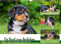 Kalender Ein Hund zum Verlieben - Großer Schweizer Sennenhund (Wandkalender 2022 DIN A3 quer) von N N