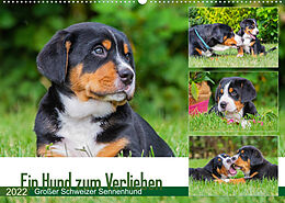 Kalender Ein Hund zum Verlieben - Großer Schweizer Sennenhund (Wandkalender 2022 DIN A2 quer) von N N