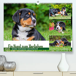 Kalender Ein Hund zum Verlieben - Großer Schweizer Sennenhund (Premium, hochwertiger DIN A2 Wandkalender 2022, Kunstdruck in Hochglanz) von N N