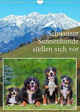 Kalender Schweizer Sennenhunde stellen sich vor (Wandkalender 2022 DIN A4 hoch) von Sigrid Starick