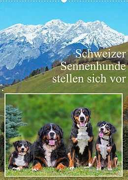 Kalender Schweizer Sennenhunde stellen sich vor (Wandkalender 2022 DIN A2 hoch) von Sigrid Starick