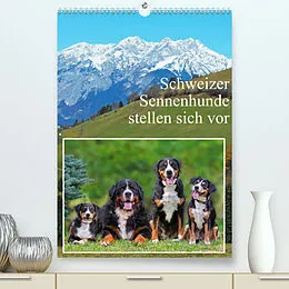 Kalender Schweizer Sennenhunde stellen sich vor (Premium, hochwertiger DIN A2 Wandkalender 2022, Kunstdruck in Hochglanz) von Sigrid Starick