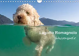 Kalender Lagotto Romagnolo - Wasserspiele (Wandkalender 2022 DIN A4 quer) von Wuffclick-pic