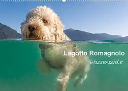Kalender Lagotto Romagnolo - Wasserspiele (Wandkalender 2022 DIN A2 quer) von Wuffclick-pic