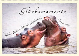 Kalender Glücksmomente Glücks-Zitate zu Fotos der großartigen südafrikanischen Tierwelt (Wandkalender 2022 DIN A2 quer) von Lebensfreude Innere Stärke