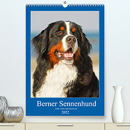 Kalender Berner Sennenhund - stark , schön und liebenswert (Premium, hochwertiger DIN A2 Wandkalender 2022, Kunstdruck in Hochglanz) von Sigrid Starick