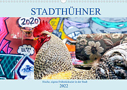 Kalender Stadthühner (Wandkalender 2022 DIN A3 quer) von Eder/Busch
