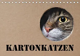Kalender Karton Katzen (Tischkalender 2022 DIN A5 quer) von Thorsten Nilson