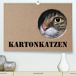 Kalender Karton Katzen (Premium, hochwertiger DIN A2 Wandkalender 2022, Kunstdruck in Hochglanz) von Thorsten Nilson