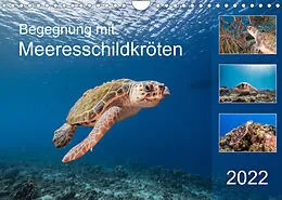 Kalender Begegnung mit Meeresschildkröten (Wandkalender 2022 DIN A4 quer) von Yvonne & Tilo Kühnast - naturepics