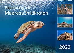 Kalender Begegnung mit Meeresschildkröten (Wandkalender 2022 DIN A2 quer) von Yvonne &amp; Tilo Kühnast - naturepics