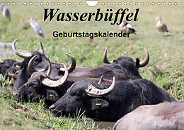 Kalender Wasserbüffel - Geburtstagskalender (Wandkalender 2022 DIN A4 quer) von Frank Gayde