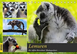 Kalender Lemuren die süßen Bewohner Madagaskars (Tischkalender 2022 DIN A5 quer) von Tanja Riedel