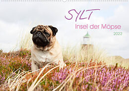 Kalender Sylt - Insel der Möpse (Wandkalender 2022 DIN A2 quer) von Ole Dodeck