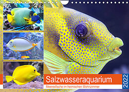 Kalender Salzwasseraquarium. Meeresfische im heimischen Wohnzimmer (Wandkalender 2022 DIN A4 quer) von Rose Hurley