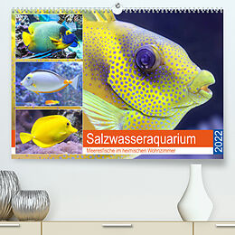 Kalender Salzwasseraquarium. Meeresfische im heimischen Wohnzimmer (Premium, hochwertiger DIN A2 Wandkalender 2022, Kunstdruck in Hochglanz) von Rose Hurley