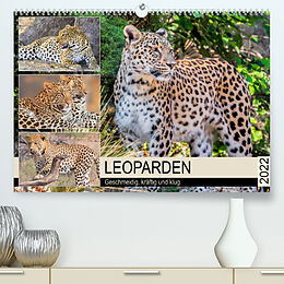 Kalender Leoparden. Geschmeidig, kräftig und klug (Premium, hochwertiger DIN A2 Wandkalender 2022, Kunstdruck in Hochglanz) von Rose Hurley