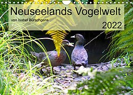 Kalender Neuseelands Vogelwelt (Wandkalender 2022 DIN A4 quer) von Isabel Bürschgens