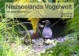 Kalender Neuseelands Vogelwelt (Wandkalender 2022 DIN A3 quer) von Isabel Bürschgens