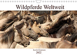 Kalender Wildpferde Weltweit (Wandkalender 2022 DIN A4 quer) von Karolin Heepmann - www.Karo-Fotos.de
