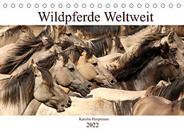 Kalender Wildpferde Weltweit (Tischkalender 2022 DIN A5 quer) von Karolin Heepmann - www.Karo-Fotos.de