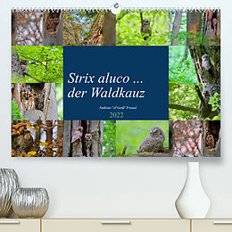 Kalender Strix aluco ... der Waldkauz (Premium, hochwertiger DIN A2 Wandkalender 2022, Kunstdruck in Hochglanz) von Andreas Freund