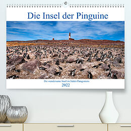 Kalender Die Insel der Pinguine - Die wundersame Insel im Süden Patagoniens (Premium, hochwertiger DIN A2 Wandkalender 2022, Kunstdruck in Hochglanz) von Bernd Zillich